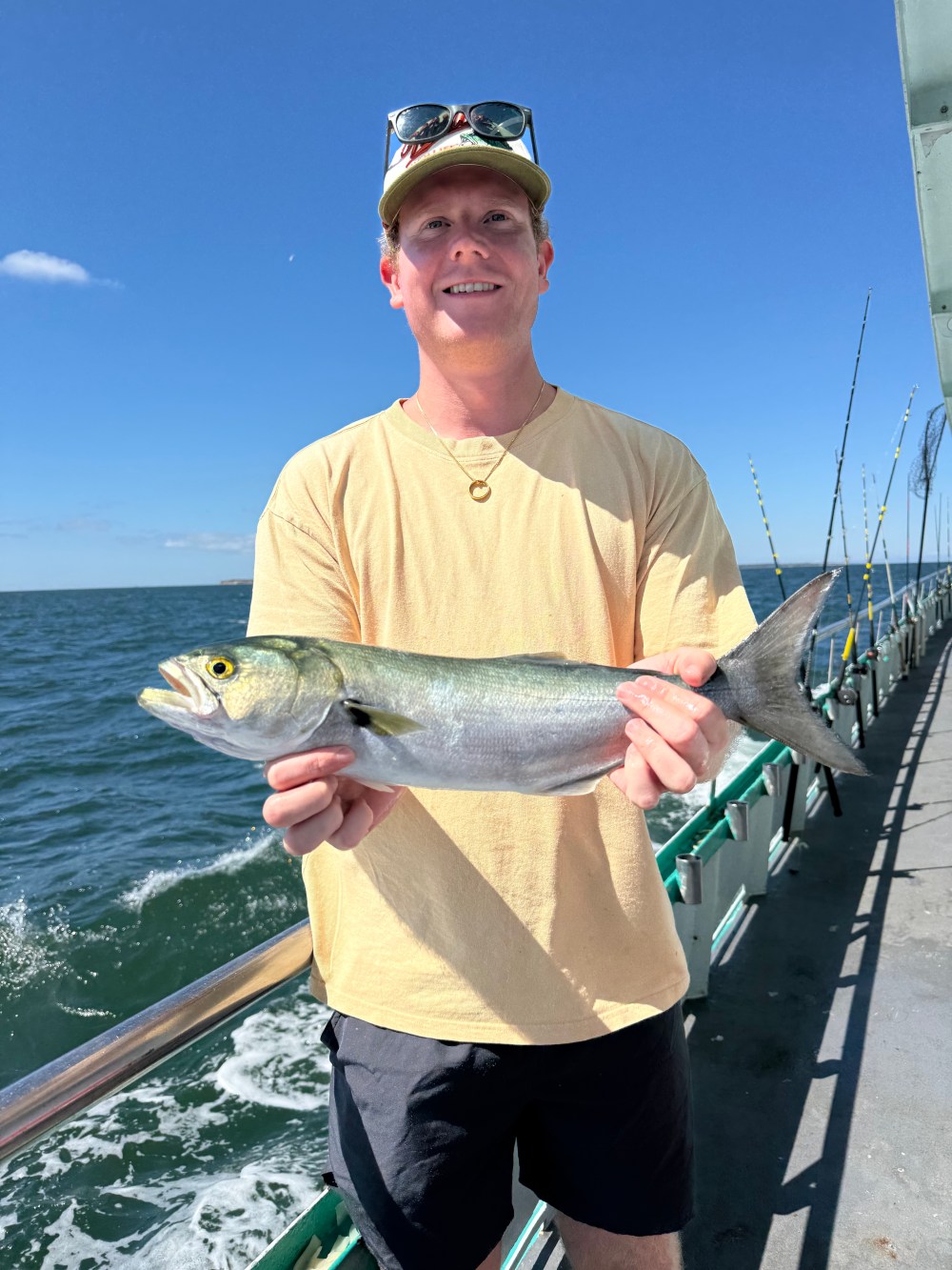 Person holding a fish on a boat under a clear blue sky.