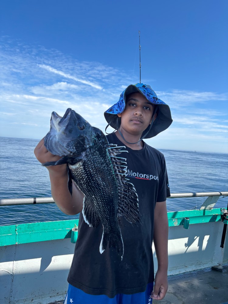 Person holding a large fish on a boat, with clear blue sky in the background.