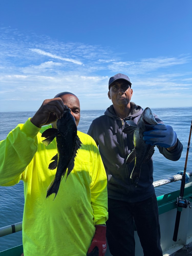 Two men on a boat holding fish under a clear blue sky.
