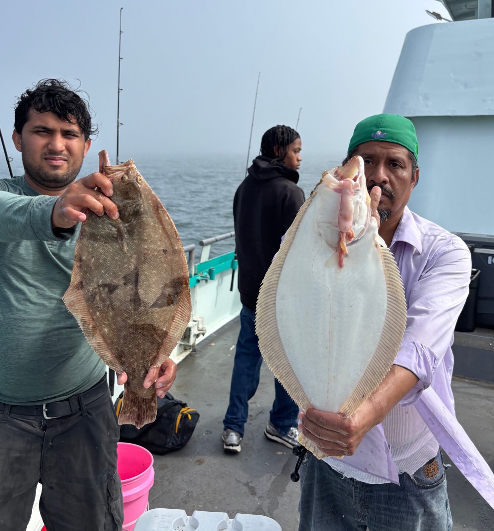 Two men on a boat holding flatfish, with ocean in the background.
