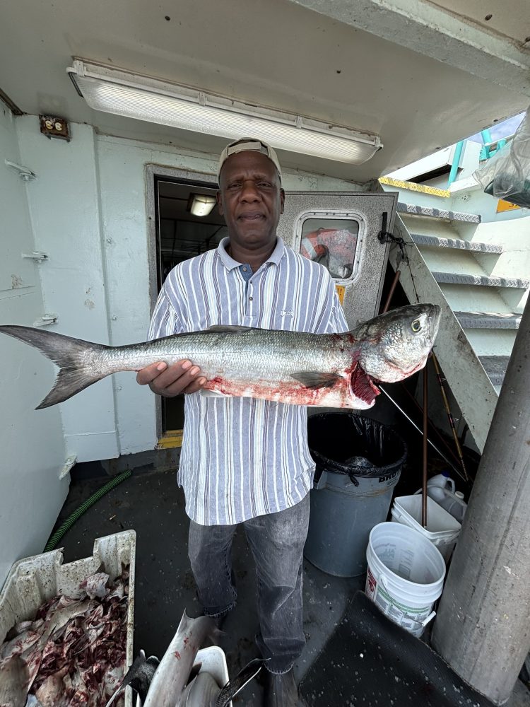 Person holding a large fish on a boat.