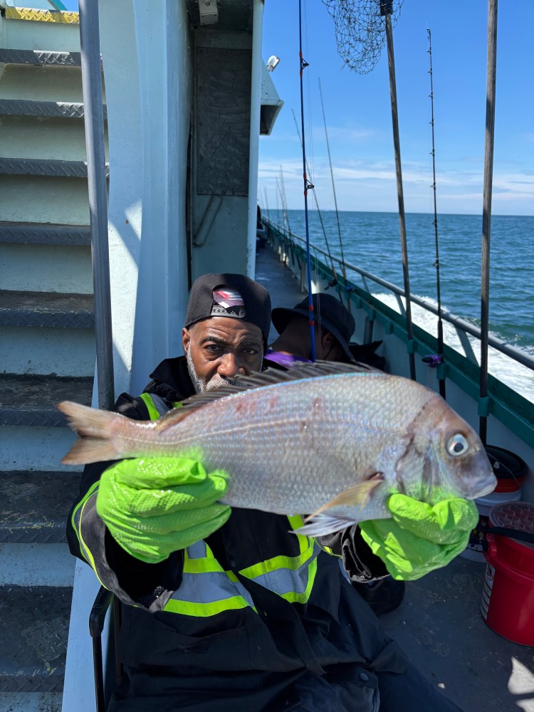 Person holding a large fish on a boat, wearing green gloves and a black jacket.