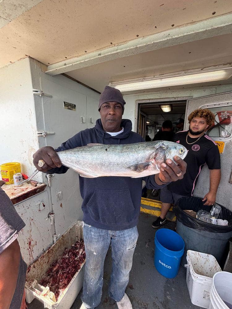 Man holding a large fish on a boat with people and buckets in the background.