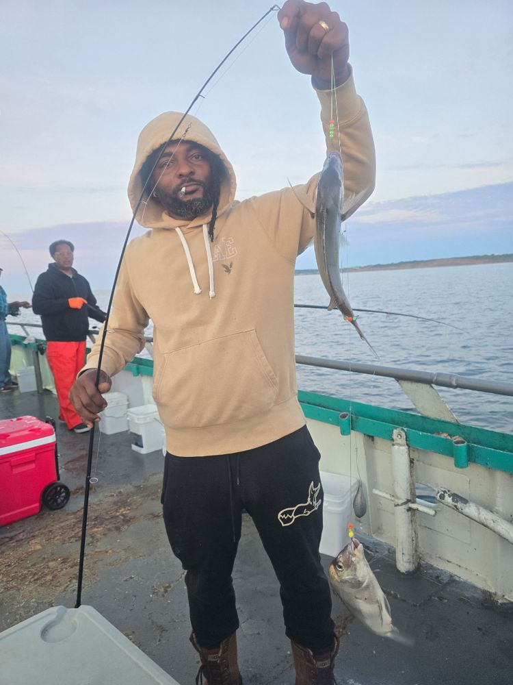 Person holding fishing rod with two fish on a boat.