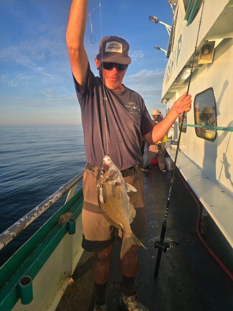 Man holding a fish on a boat in sunlight with the sea in the background.