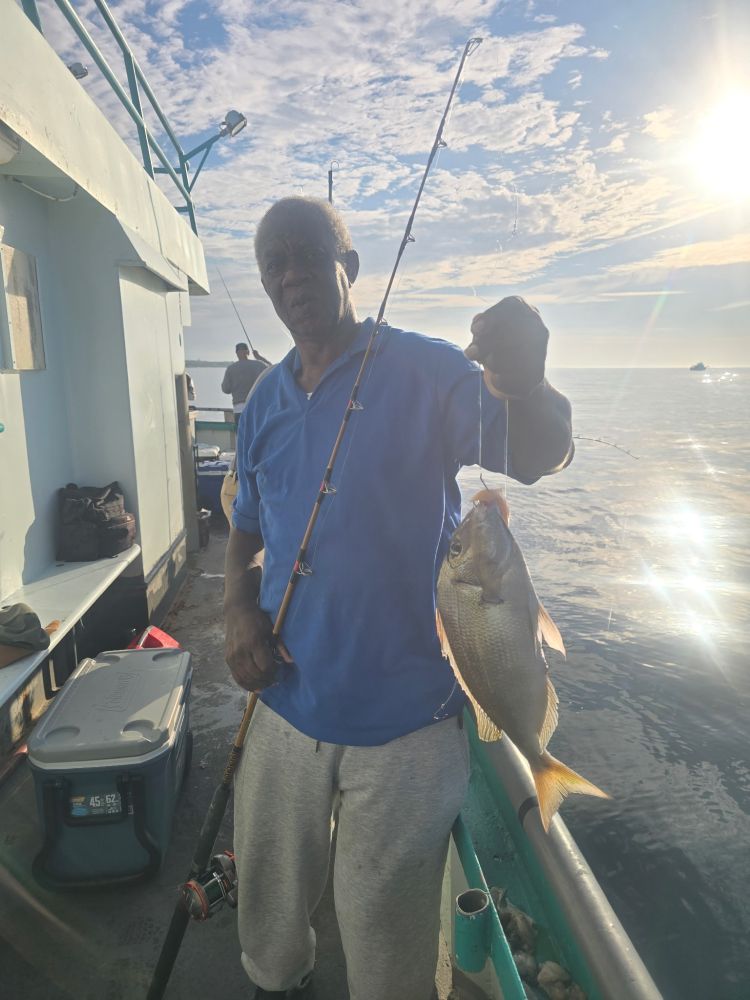 Person holding a fishing rod and fish on a boat under a cloudy sky.