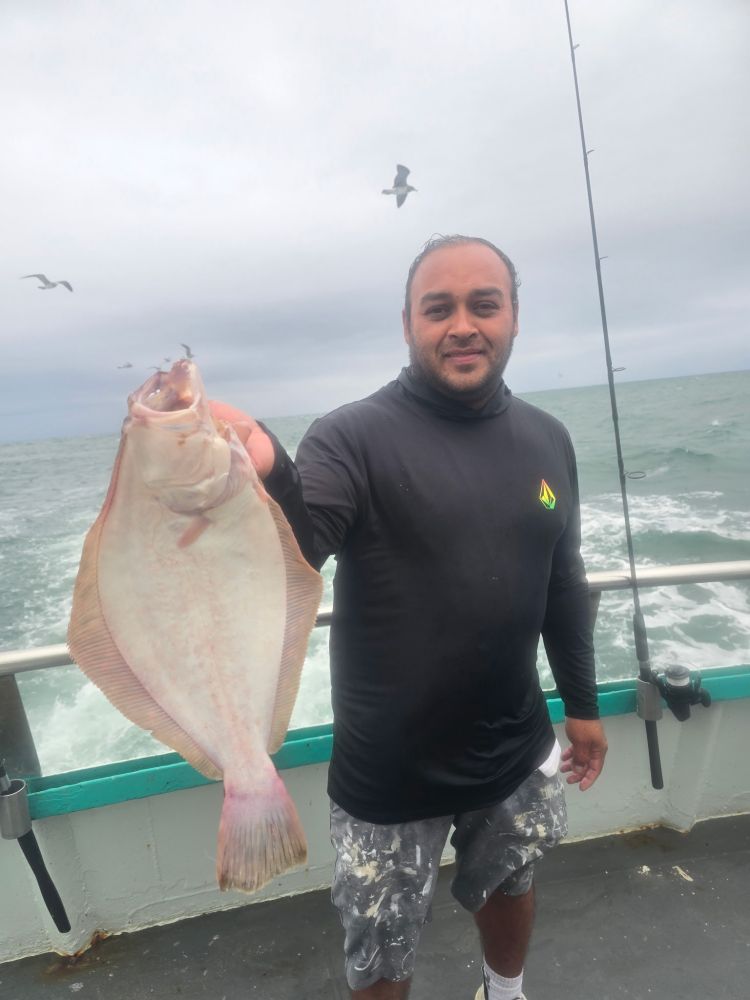 Person holding a fish on a boat with ocean and birds in the background.