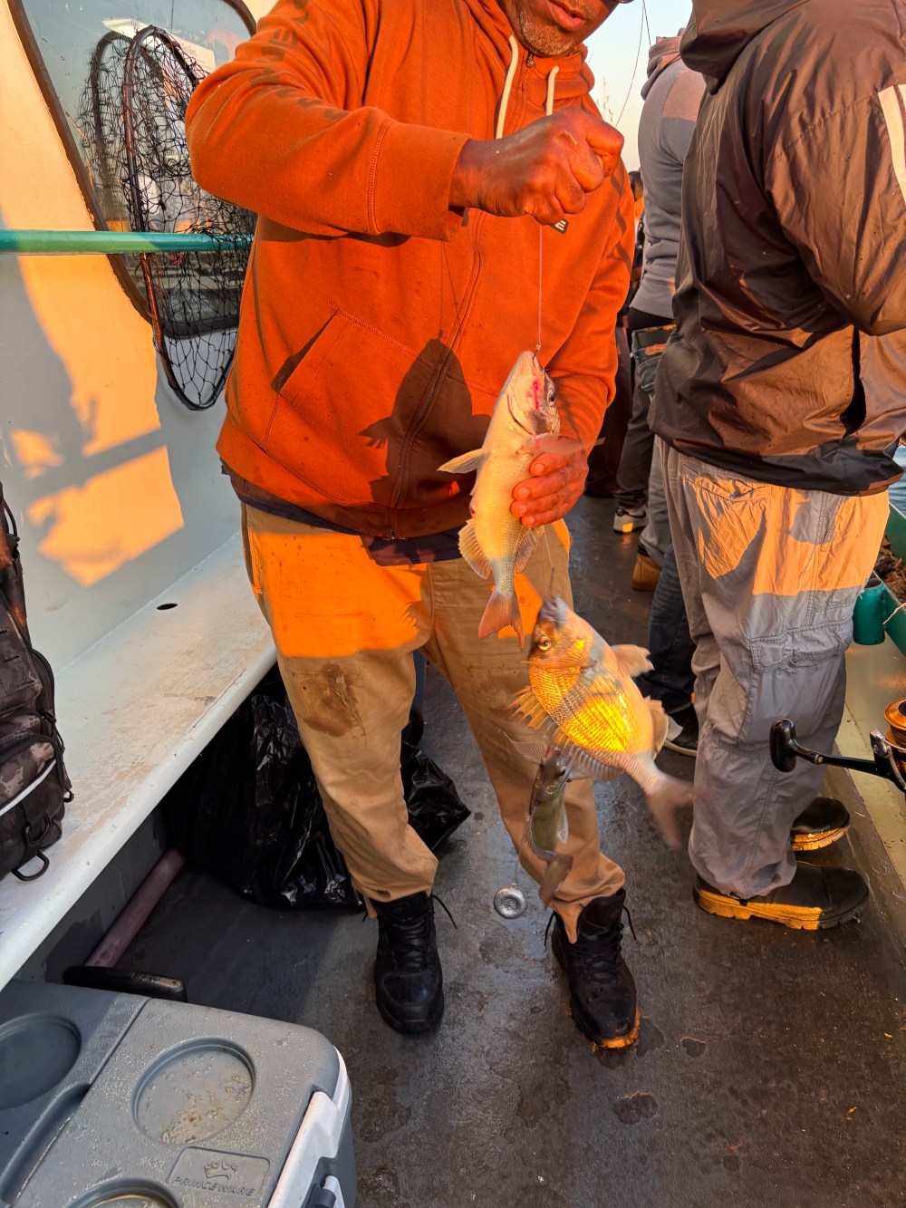 Person holding two caught fish on a boat deck, with fishing net nearby.