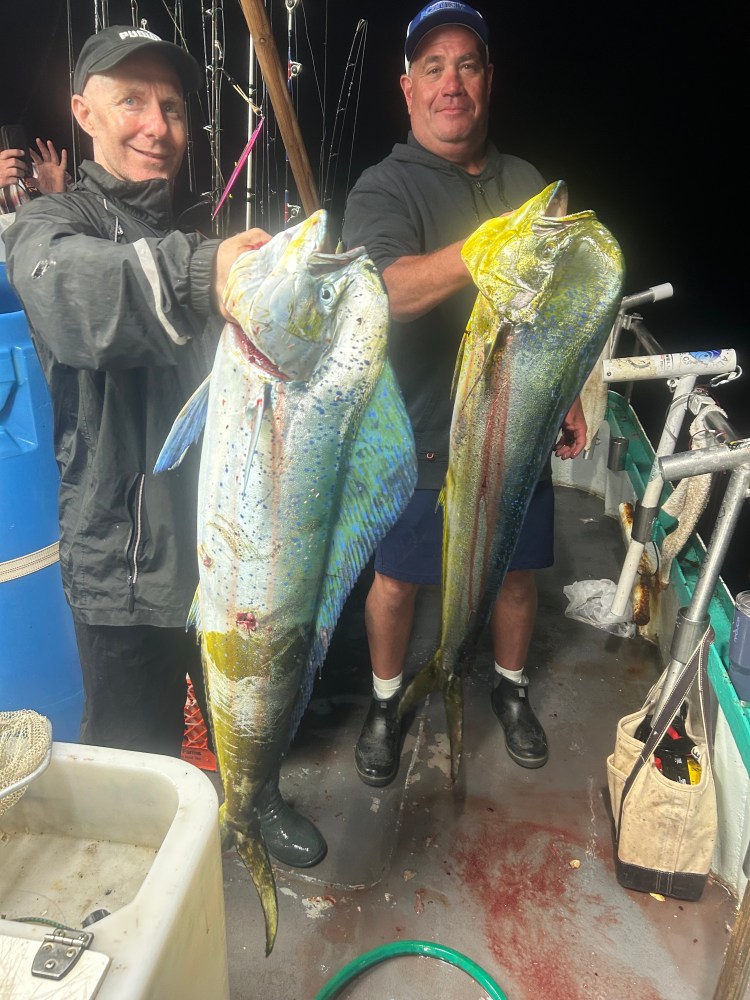 Two people holding large fish on a boat at night.