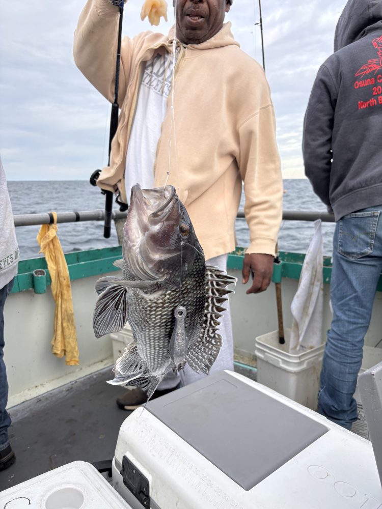 Man on boat holding a large fish with striped fins.