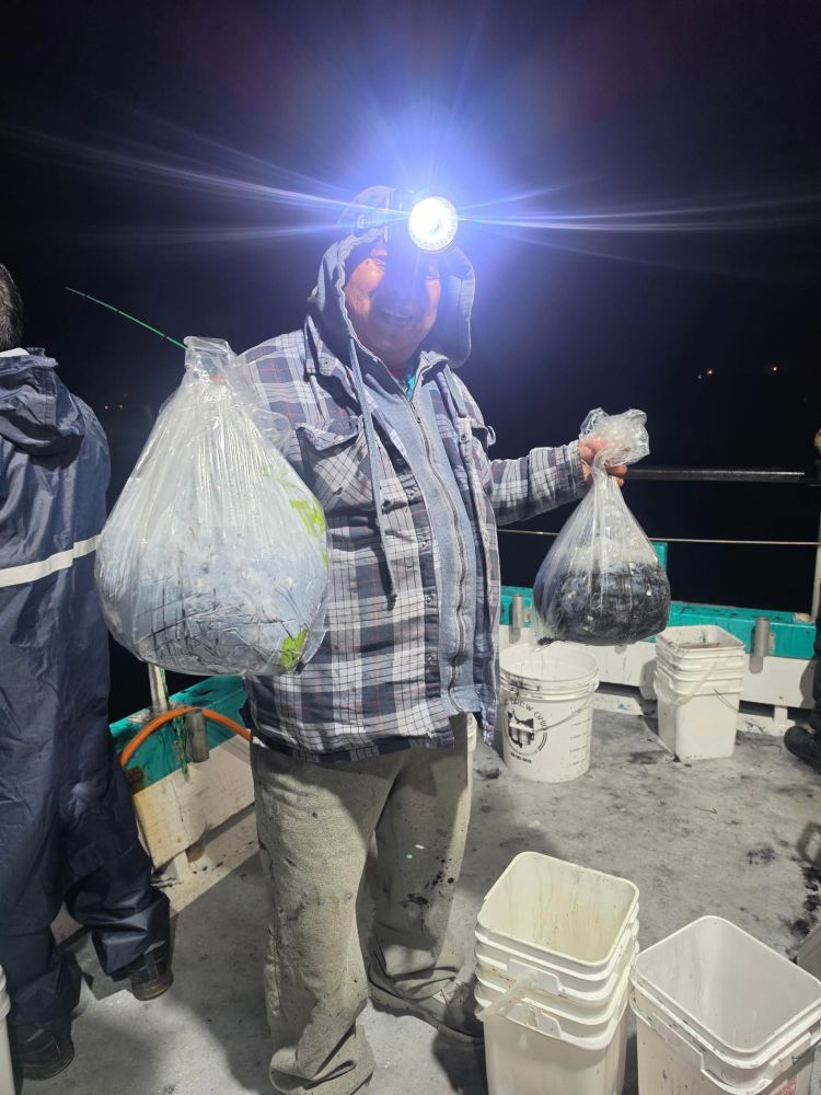 Person on boat holding bags of fish and wearing headlamp at night.