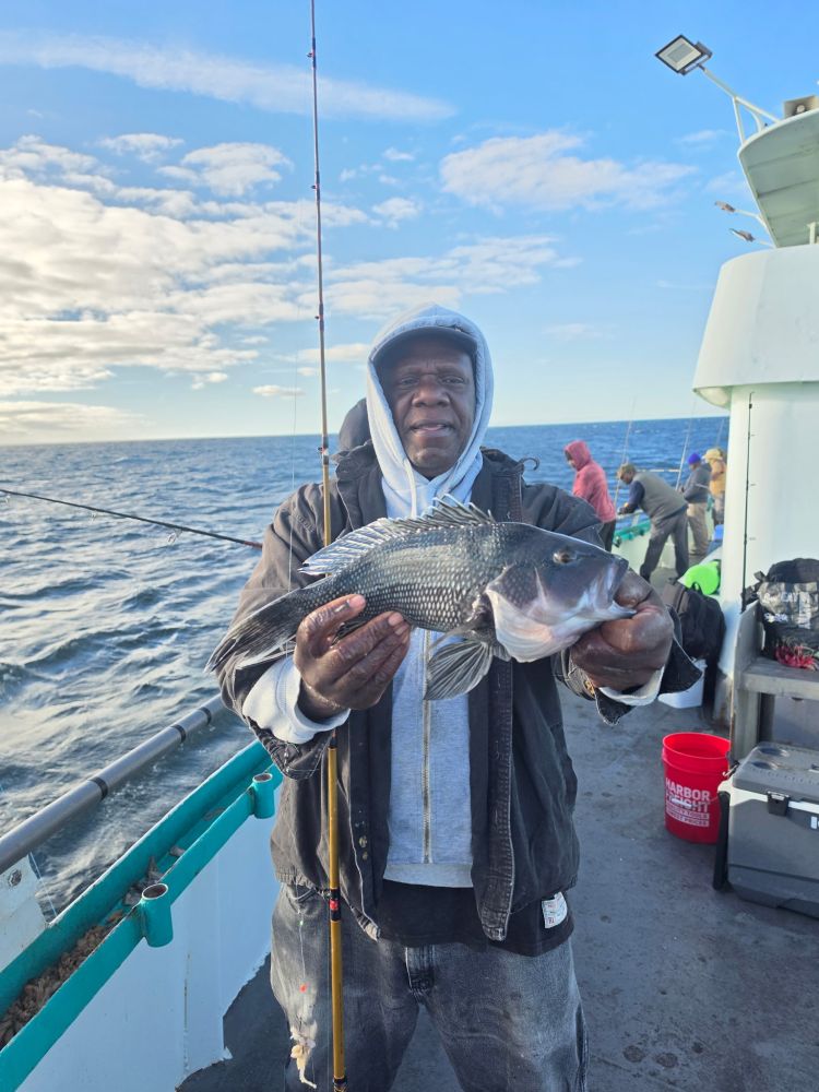 Person holding a fish on a boat with ocean in background.