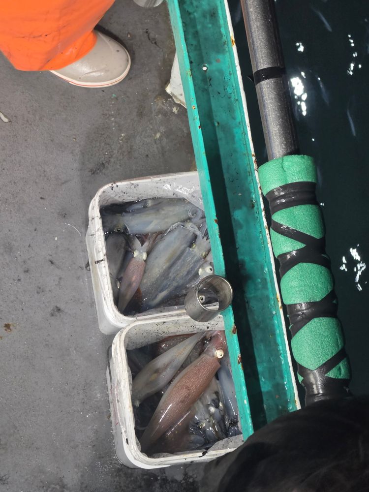 Two buckets of squid on a boat near fishing rod, person in orange pants.