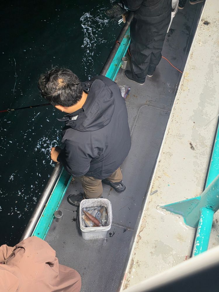 Person fishing at night on a boat with a bucket and squid.
