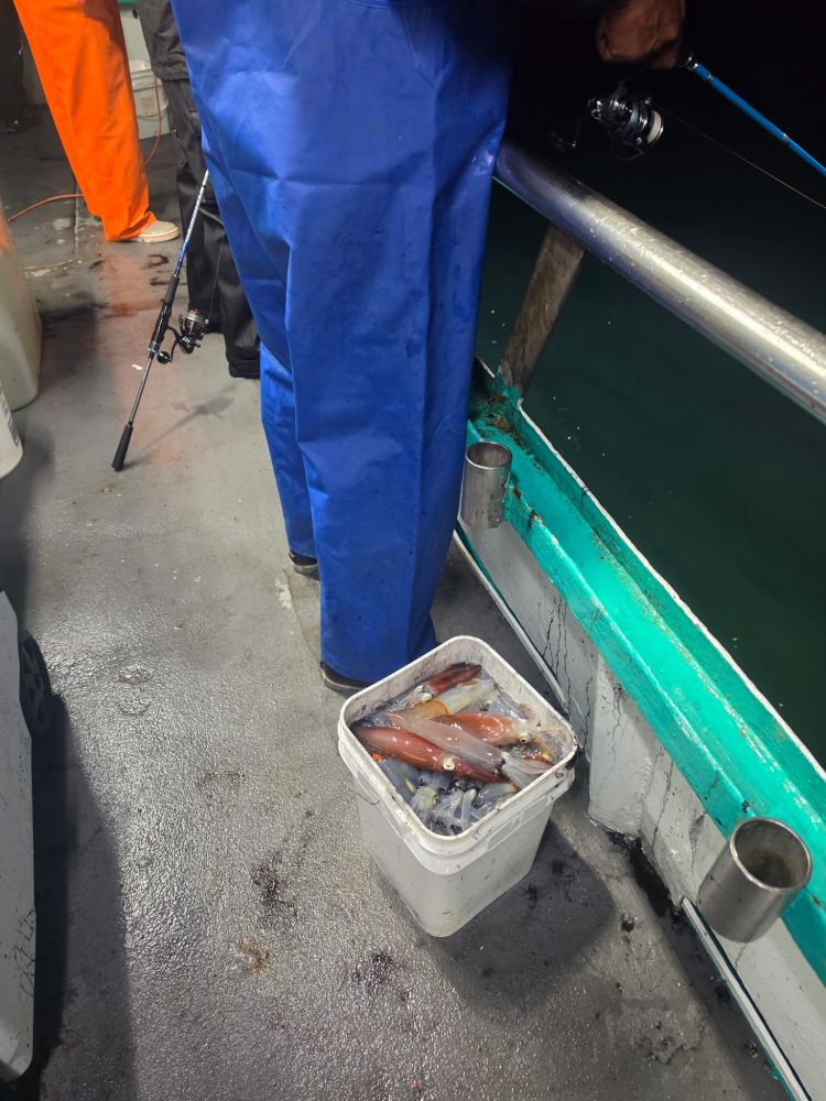Person fishing on boat with bucket of fish and squid on deck.