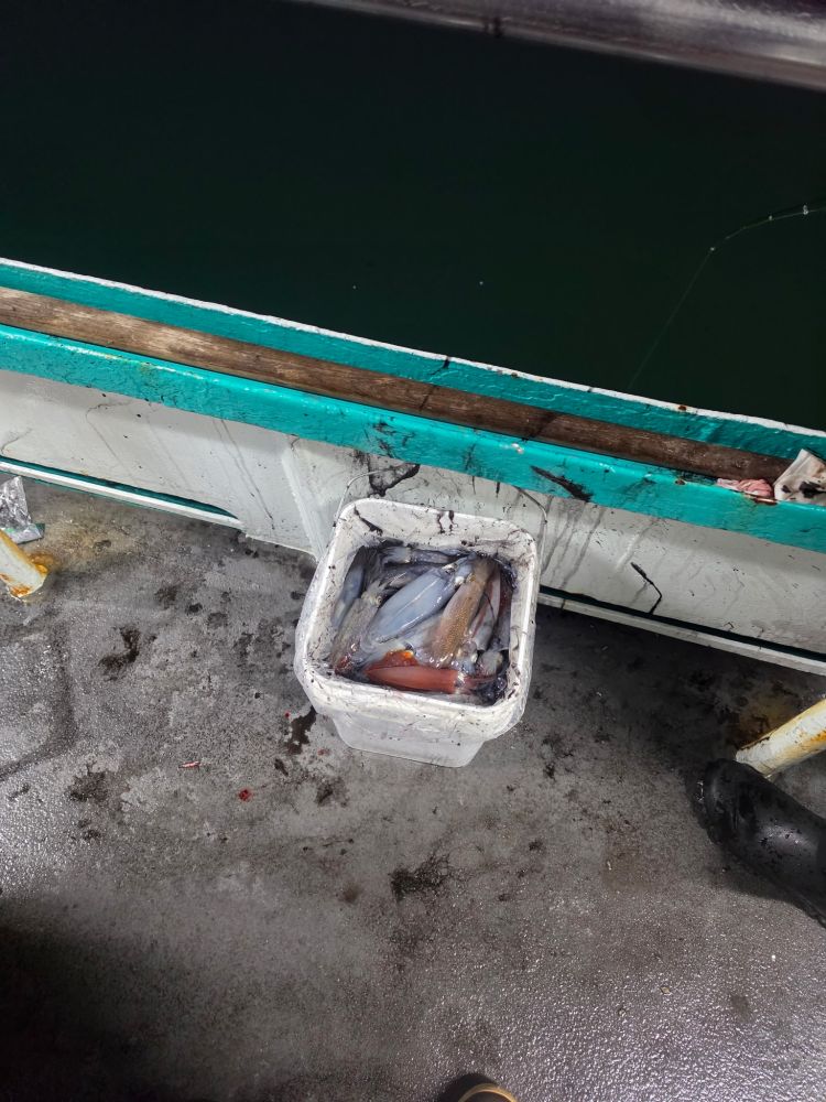 A container with fish on a wet boat deck near green railing.