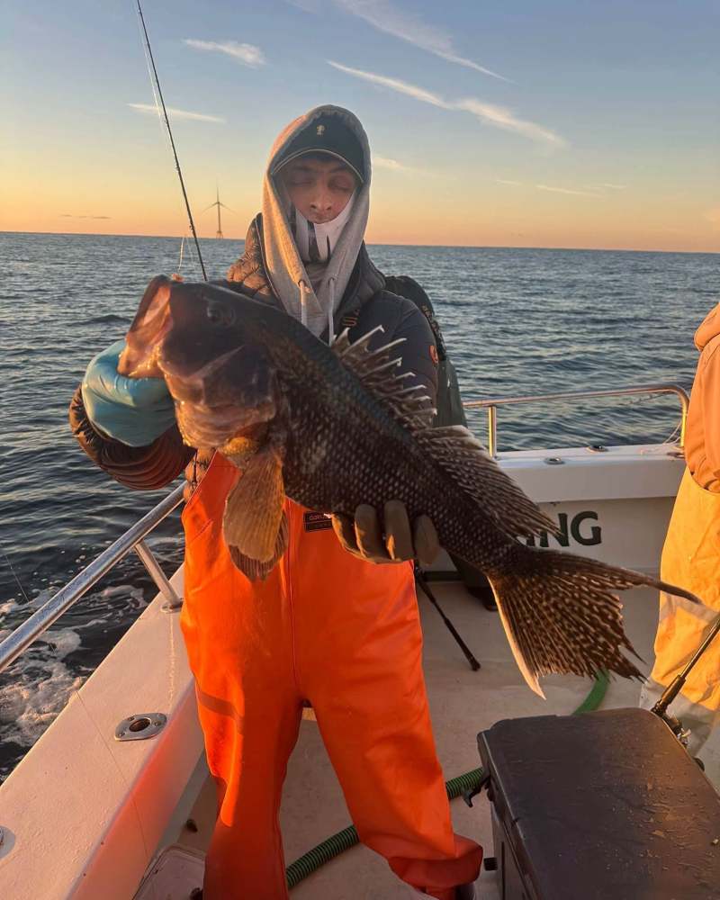 Person in orange overalls holds a large fish on a boat at sunset.