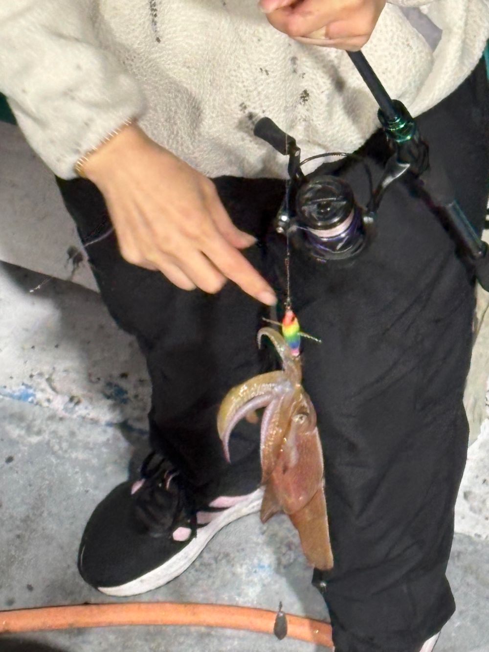 Person holding a fishing rod with a squid caught on a lure.