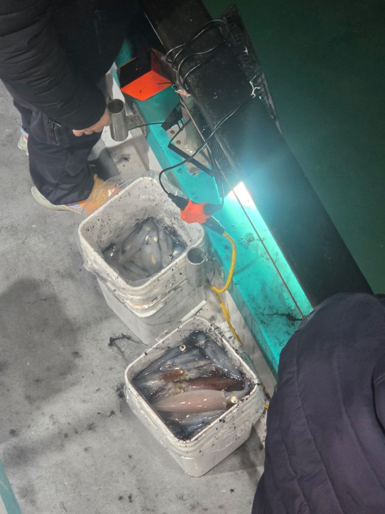 Buckets of squid next to people on a fishing boat deck.