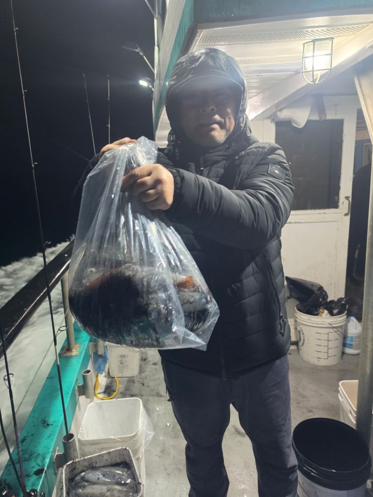 Person holding a fish in a plastic bag on a boat at night.