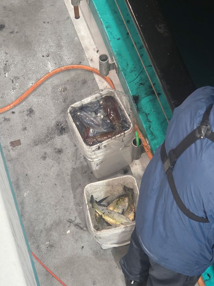 Two fish bins on a boat deck with a person nearby.