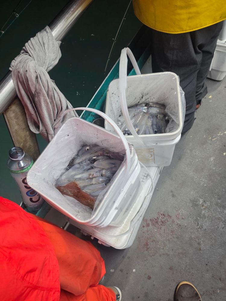 Buckets of fish on a boat deck near people in bright clothing.