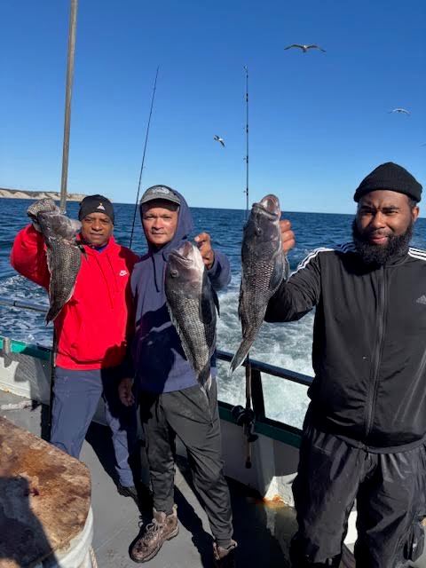 Three men on a boat holding caught fish under a clear blue sky.