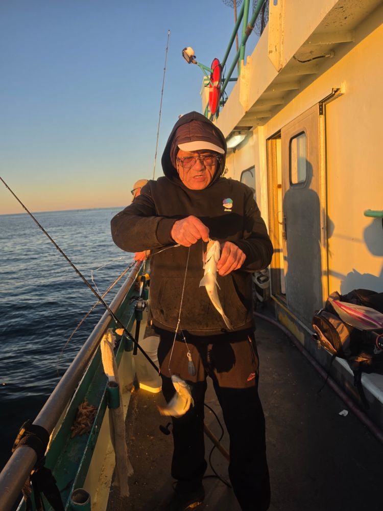 Person on boat holding fishing line with fish at sunset.