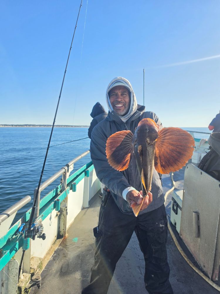 Person holding a large fish on a boat under a clear blue sky.