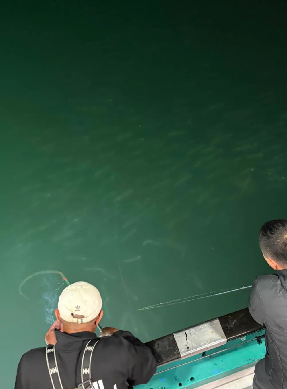 Two people fishing from a boat, looking into green water at fish.