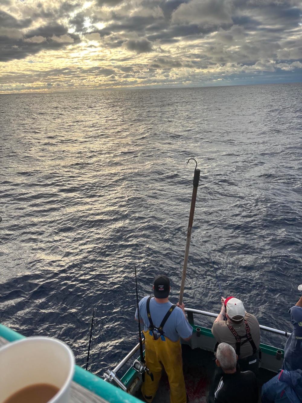 People fishing on a boat under cloudy sky at sea.