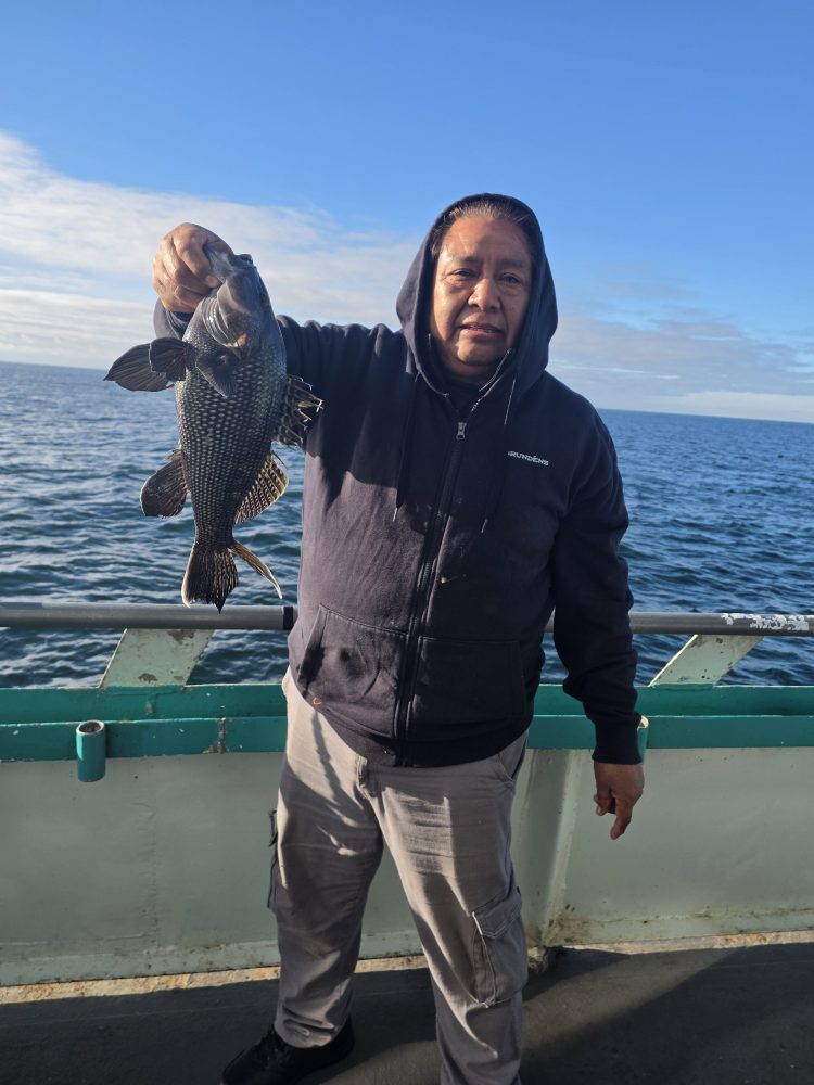 Person holding a large fish on a boat with ocean view.