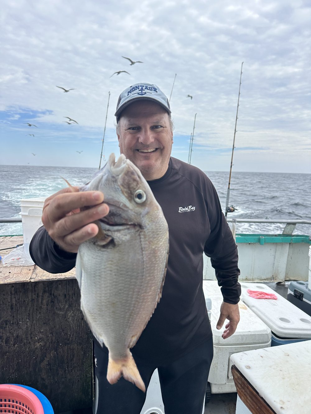Person on boat holding a fish, with ocean and seagulls in background.