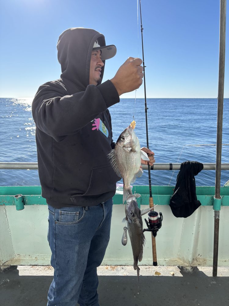 Person holding a fishing rod with two fish on a boat.
