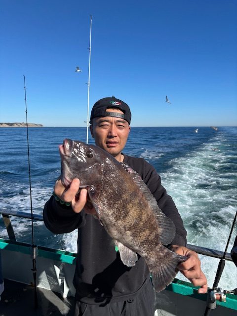 Person holding a large fish on a boat with ocean in the background.