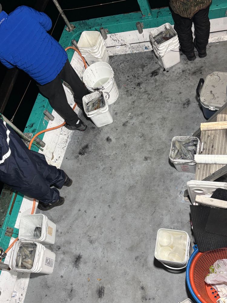People fishing from a boat deck at night with several buckets.